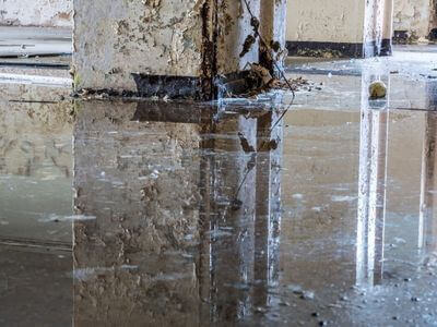 About Bothell WA Water Damage Restoration Pros - water damage restoration experts in Bothell